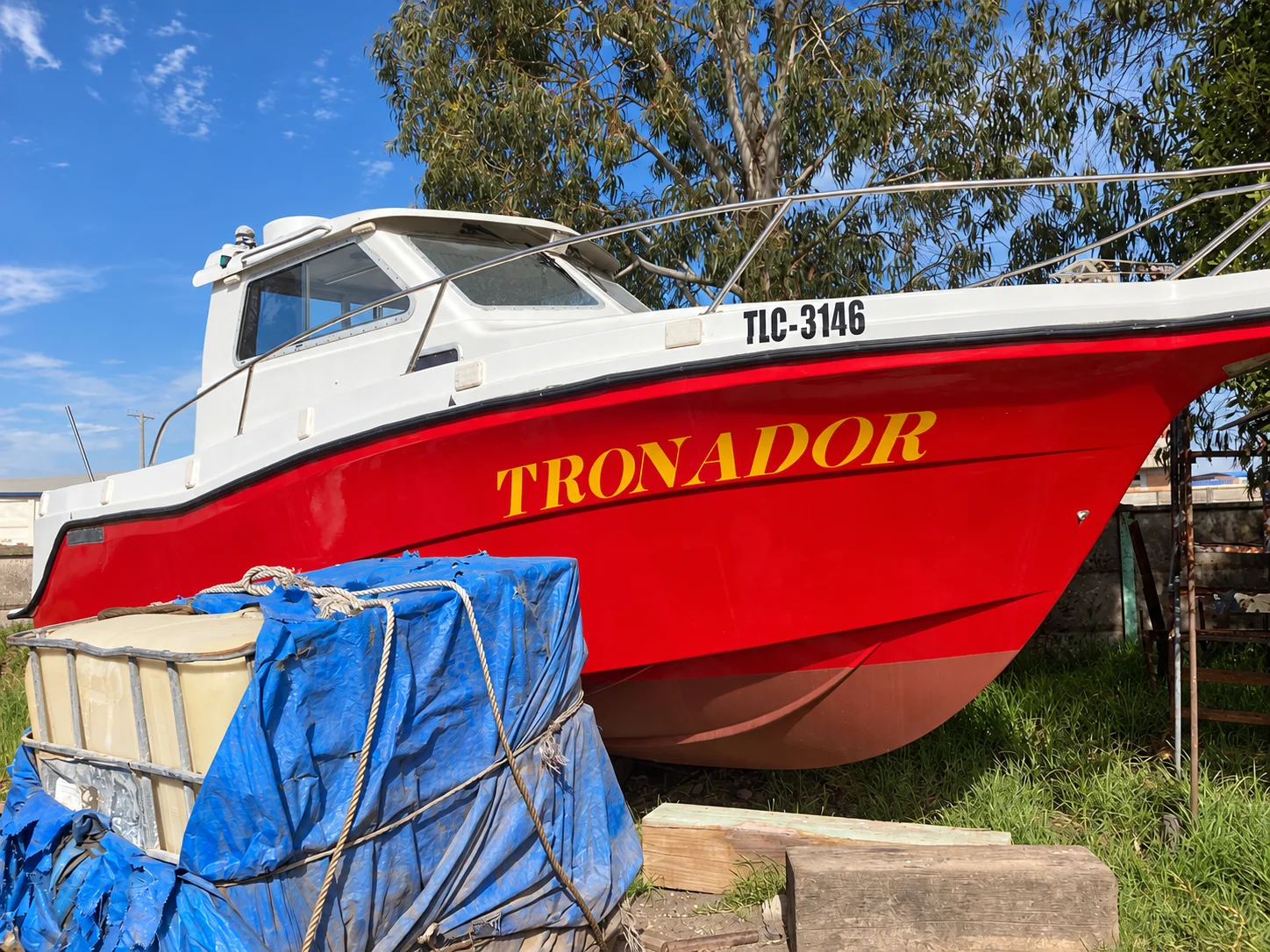 Vista de Tronador sobre sus soportes en tierra